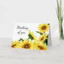 Search for sunflower quotes cards Encouragement