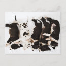 Search for harlequin great dane Dogs