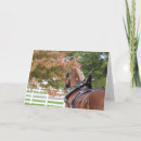 Search for belgian draft horse Equestrian