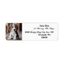 Search for cat return address labels Minimalist