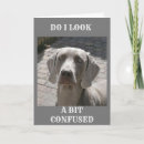 Search for weimaraner birthday cards Veterinarian