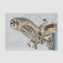 Search for owl tissue paper Decoupage