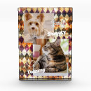 Search for glass photo blocks Colorful