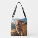 Search for golden retriever bags Dog