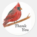 Search for red cardinal stickers Nature