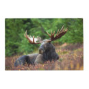 Search for moose placemats Wildlife