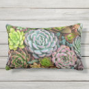 Search for cactus gifts Plants