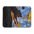 Search for funny squirrel sayings magnets Animal