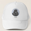 Search for poodle hats Puppy