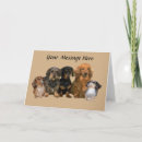 Search for dachshund cards Hound
