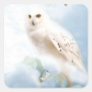 Search for owl stickers Nature