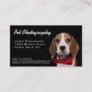 Search for pet photography business cards Cute