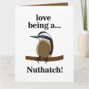 Search for bird pun cards Nature