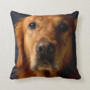 Search for golden retriever pillows Animals