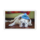 Search for acrylic serving trays Dog
