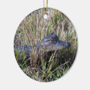 Search for alligator ornaments Reptile