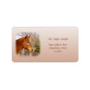 Search for horse return address labels Animals