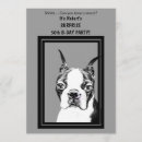 Search for boston terrier birthday terriers