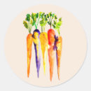Search for carrot stickers Orange
