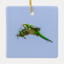Search for parakeet ornaments Animal