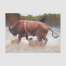 Search for bull riding crafts party Country