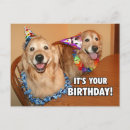 Search for birthday invitation postcards Celebration