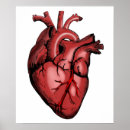 Search for heart health posters nurse
