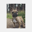 Search for french bulldog blankets Cute dog