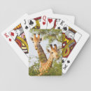 Search for wild animal playing cards wildlife