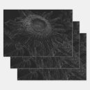 Search for sunflower wrapping paper Floral