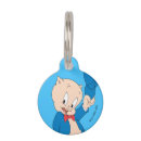 Search for looney tunes pet tags Pig