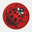 Search for ladybug magnets Bugs