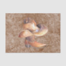 Search for cowboy boots tissue paper Brown
