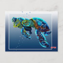 Search for great barrier reef postcards Turtle