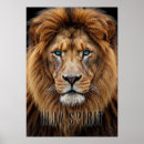 Search for lion king posters Lions