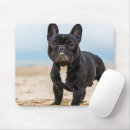 Search for french bulldog gifts Animals