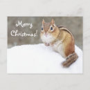 Search for wildlife christmas cards Winter