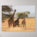 Search for thanks sister gifts For him