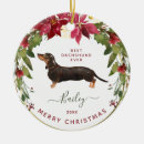 Search for dachshund ornaments Watercolor