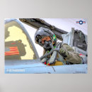 Search for fighter jet pilot art Airforce