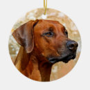 Search for rhodesian ridgeback ornaments Pet