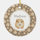 Search for mouse ornaments Pet