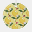 Search for ladybug ornaments Illustration