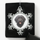 Search for labradoodle ornaments Animals