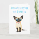 Search for new pet cat congratulations cards Kitten