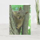 Search for funny squirrel birthday cards Happy