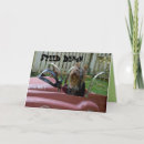Search for yorkshire terrier dog birthday cards Dogs