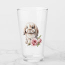 Search for rabbit Rose