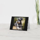 Search for schnauzer cards Dog