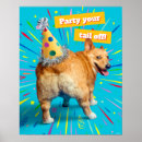 Search for corgi posters Puppy